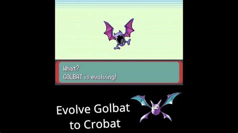 is crobat good in emerald.